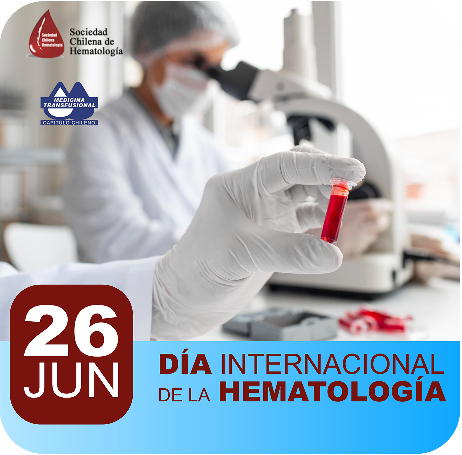 Imagen de referencia - 24 de junio: Día Mundial del la Hematología