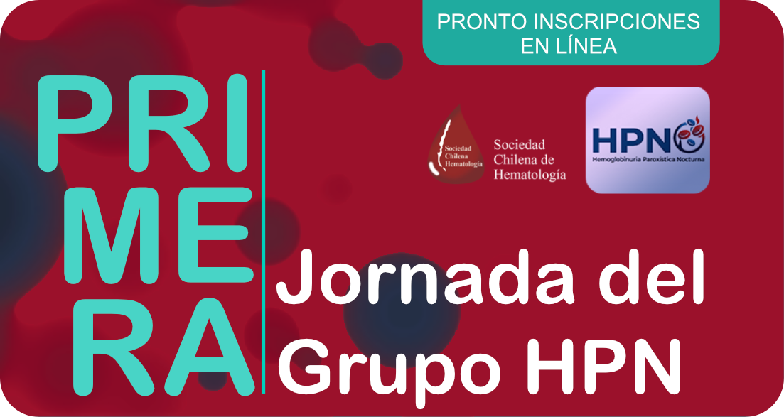 Imagen de referencia - Primera Jornada del Grupo HPN