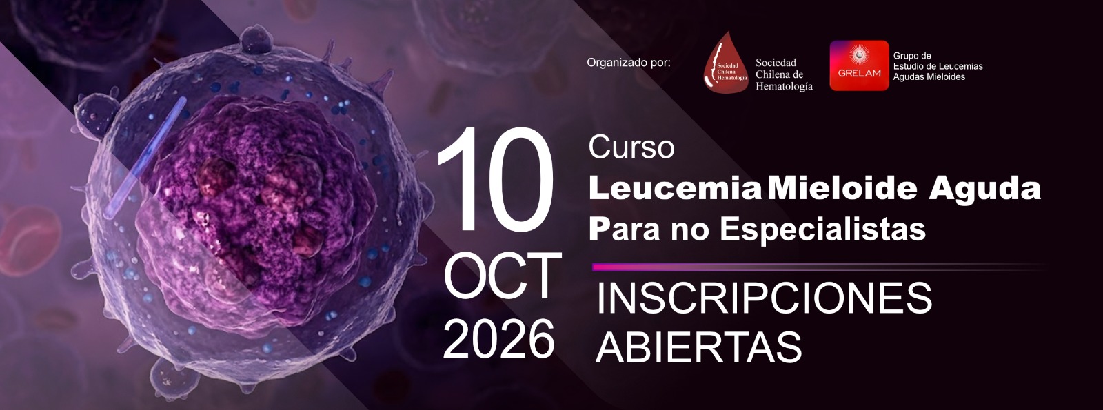 Curso Leucemia Mieloide Aguda para no especialistas 10-octubre-2026