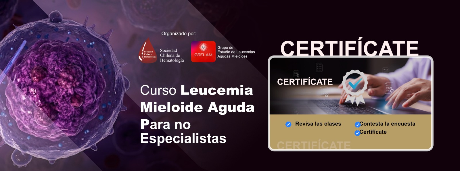 Certifícate: Curso Leucemia Mieloide Aguda para no especialistas 10-octubre-2026