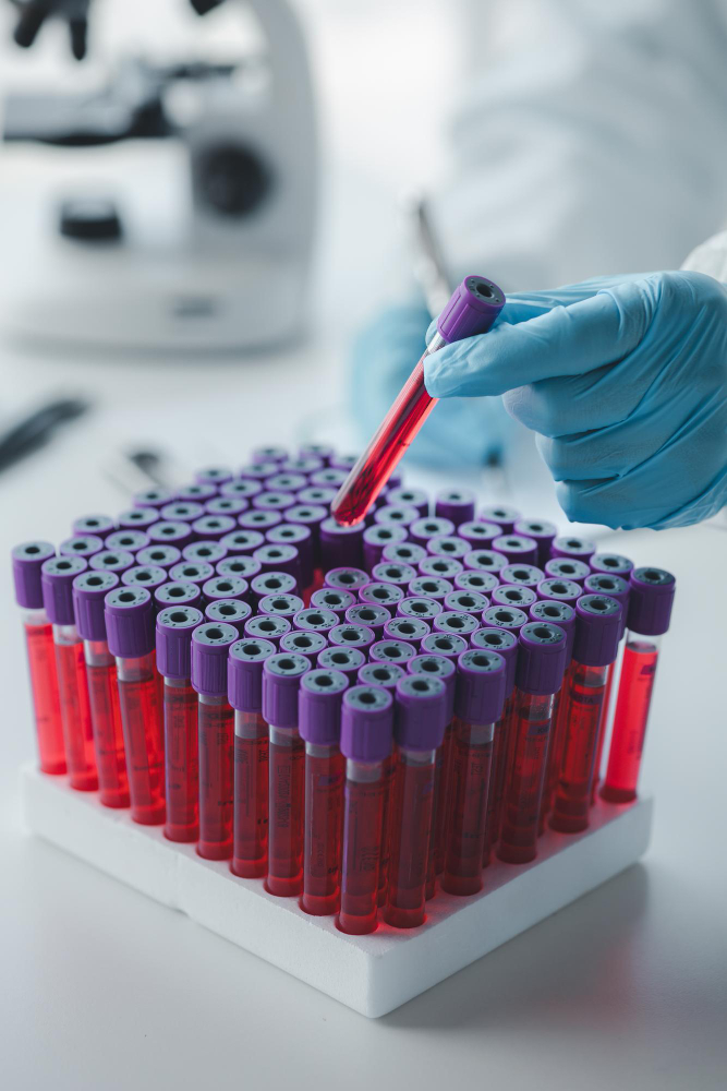 Investigación SOCHIHEM